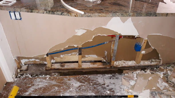 Best Professional water damage repair  in Elm Grove, WI