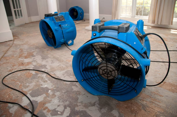 Best Basement water damage restoration  in Elm Grove, WI