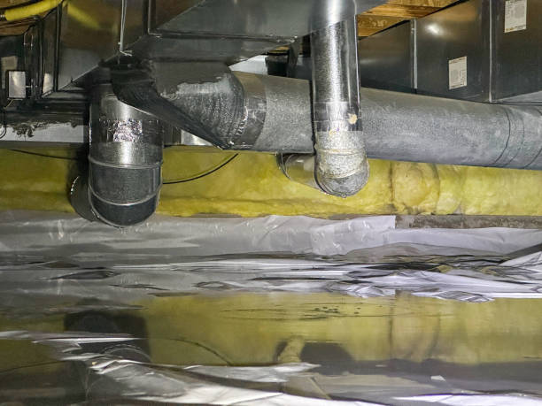 Best Emergency water damage restoration  in Elm Grove, WI