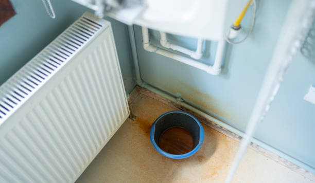 Best Flood restoration services  in Elm Grove, WI