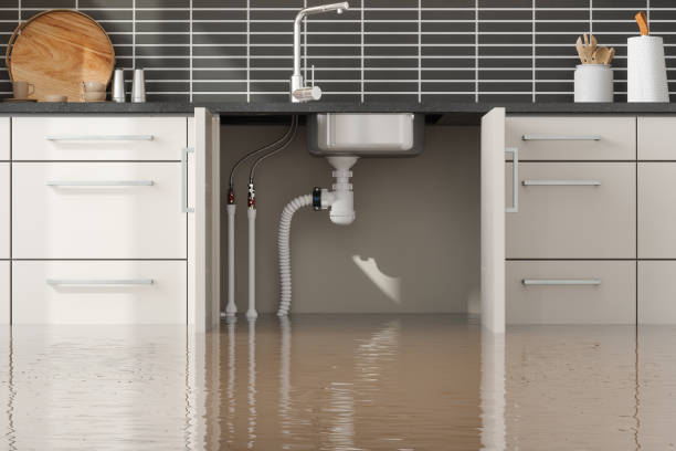Best Sewage cleanup and water damage restoration  in Elm Grove, WI